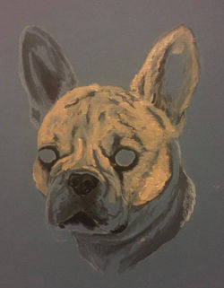 101400824_2689164861313467_7666852919299