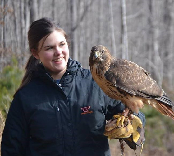 10603351_561729550620878_688855374913696