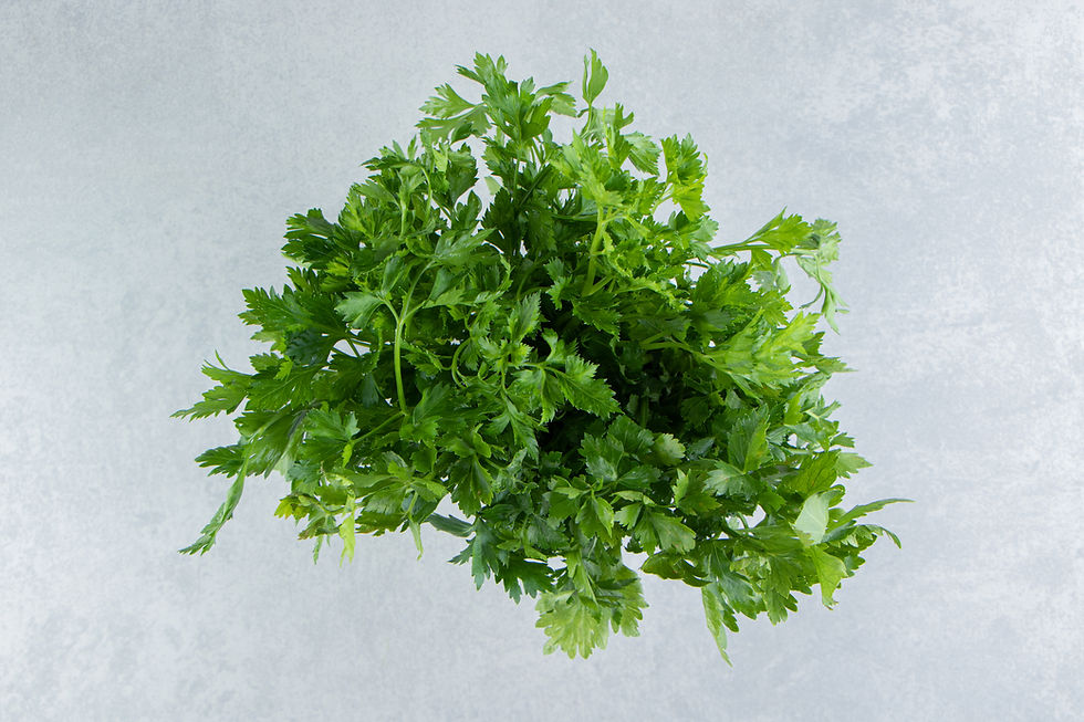 Thumbnail: Parsley Leaf