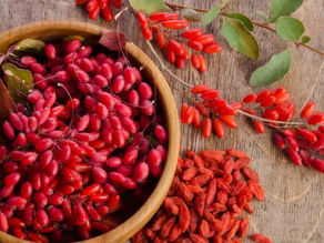 Qué es la Berberina?