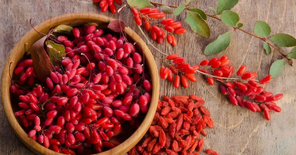 Qué es la Berberina?