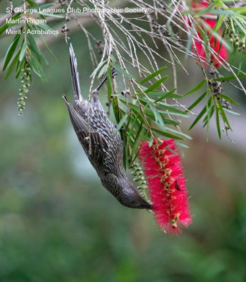06-June_Regan Martin_Acrobatics.jpg