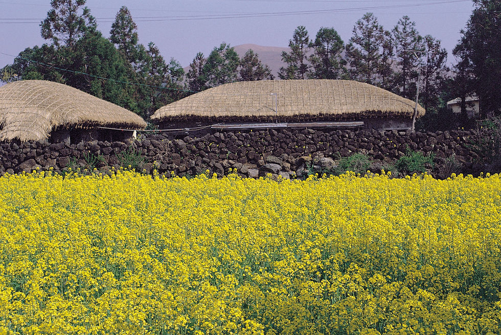 korean folk village tour