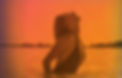 bdd22b73-2936-4f8e-be48-4c9b13314736_edited_edited_edited_edited.jpg