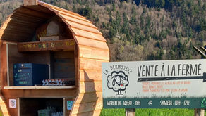 C'est le printemps : du lait qui coule à flots = des yaourts plein les frigos :)