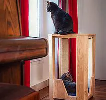 Félinea Arbre A Chat Design