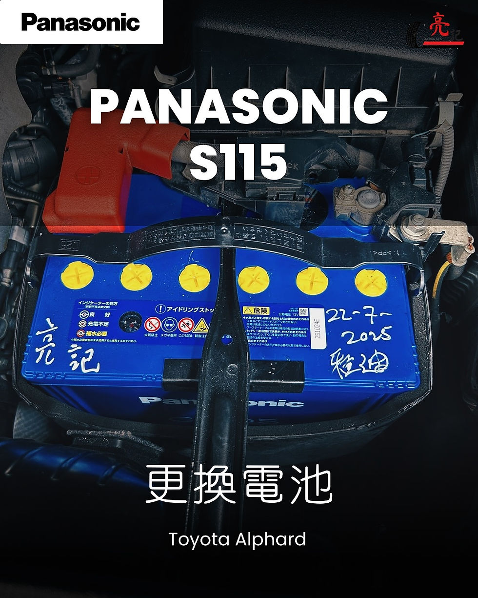 Panasonic 藍聲電池