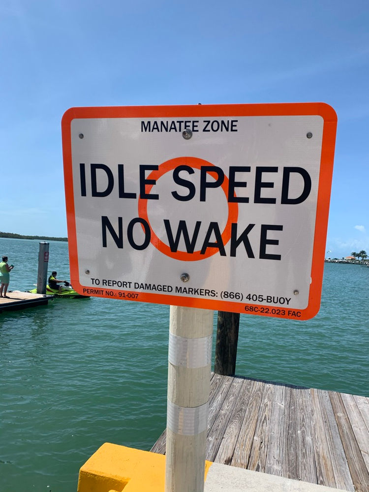 Idle Speed No Wake