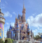 magic kingdom