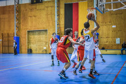 BASQUETBOL 17-BA-176