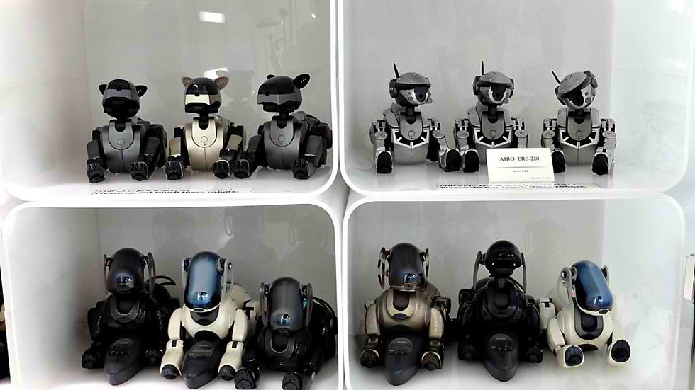 AIBO in different generations