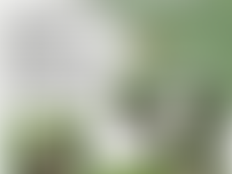 Summer Solstice - June 20, 2024