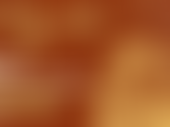 Lunar New Year - Year of the Snake