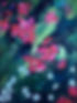 Dunsky, Ruth - Floral Medley.jpg
