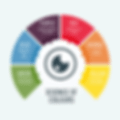 Color theory Brixel Colour Psychology Emotion Meaning branding Brand Identity Social Media GIFs