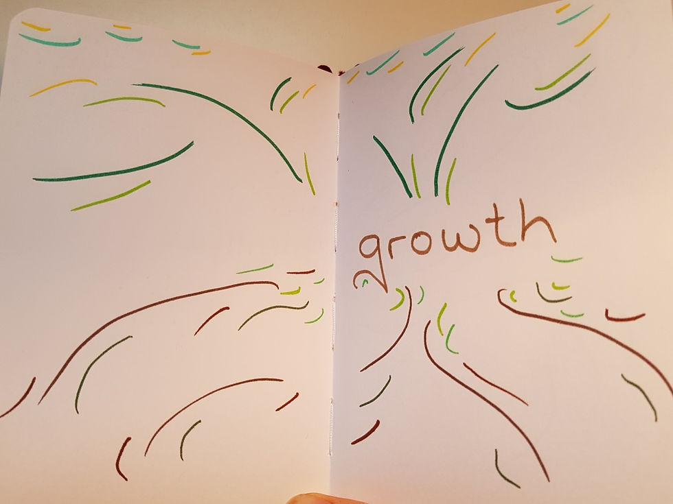 Miniaturbild: book ~ shards of light