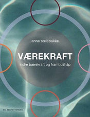 Vaerekraft.jpg