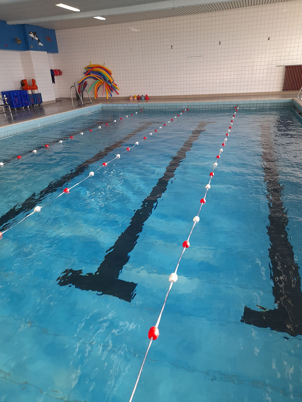 Schulinterner Schwimmwettkampf