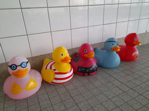 Schwimmwettkampf