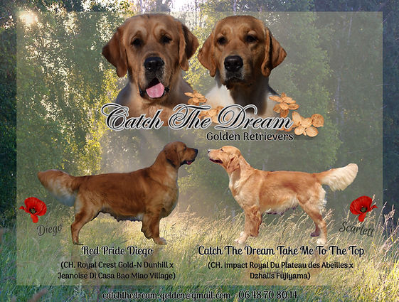 Sans titre (1200 x 1166 mm) (1500 x 1166 mm) (1500 x 1166.7 mm)(3).jpg