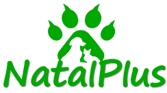 NatalPlus-Transparente.png