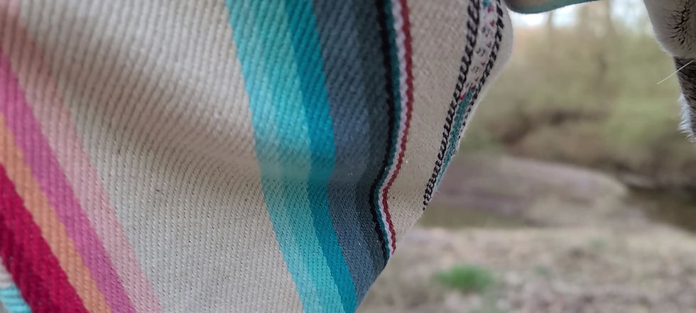Thumbnail: Southwest Bandana