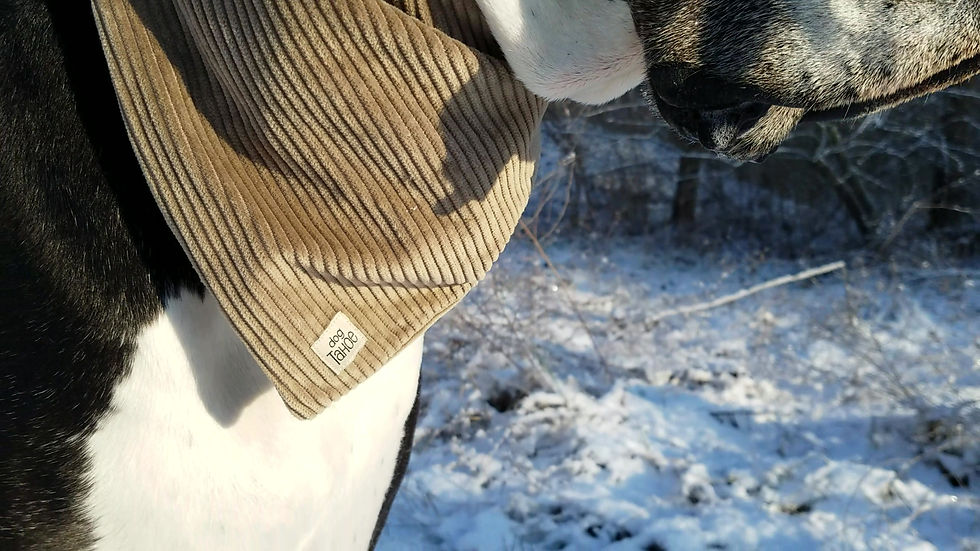 Thumbnail: Brown Corduroy Bandana