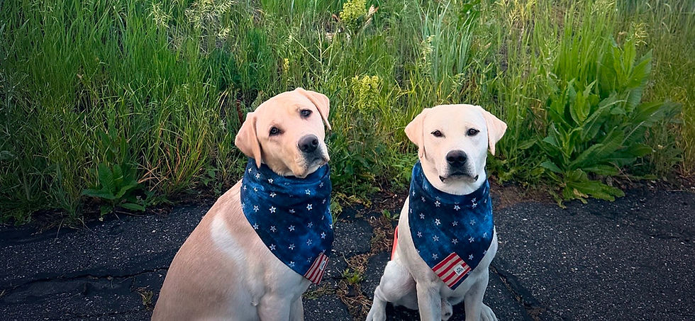 Patriotic Bandanas