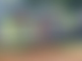 Lady Vikings win two in a row, beat Princeton and Central