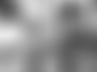 Black Lodge Coffee Roasters’ Gale celebrates tenth year