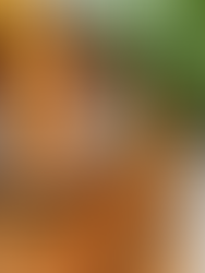 Idées recettes faciles pour le mois de mars par une diététicienne nutritionniste