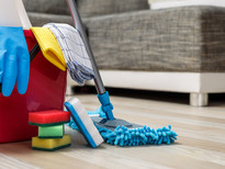 Adhoc Cleaning