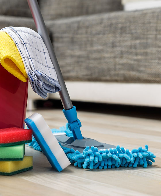 Cleaning Materials CD