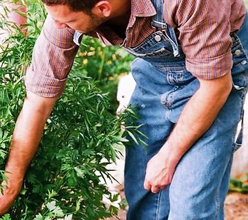 Working in the Garden_edited.jpg