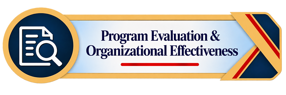 Program Evaluation & Organizational Effectiveness.png