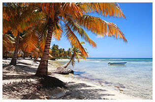 Sunita Travel Agency, your trusted USA to India travel agent in NY, offers affordable flights and expert booking services.