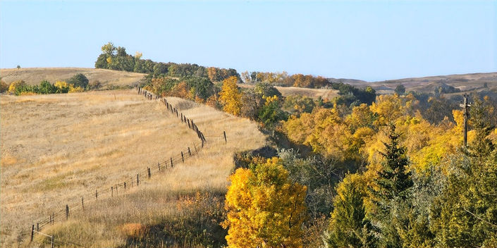 Crooked Fence Off Crooked Road-40x20_edited.jpg