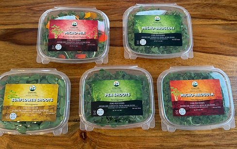 Microgreens subscription to home subscribers in San Diego
