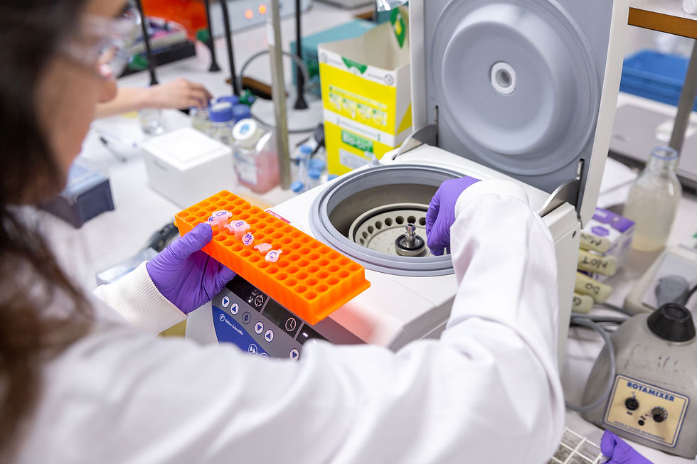 Laboratory - molecular medicine