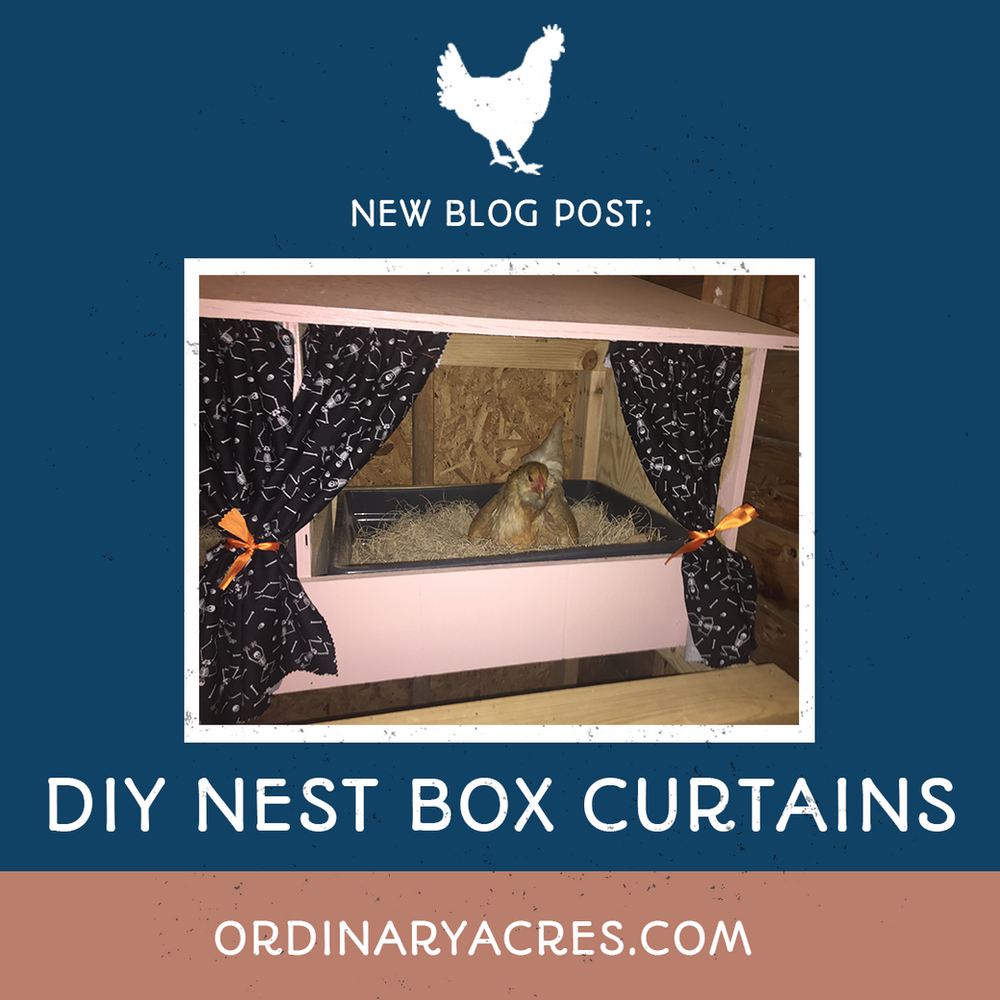 DIY Nest Box Curtains