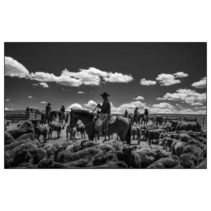 Thumbnail: Ranchland - Book