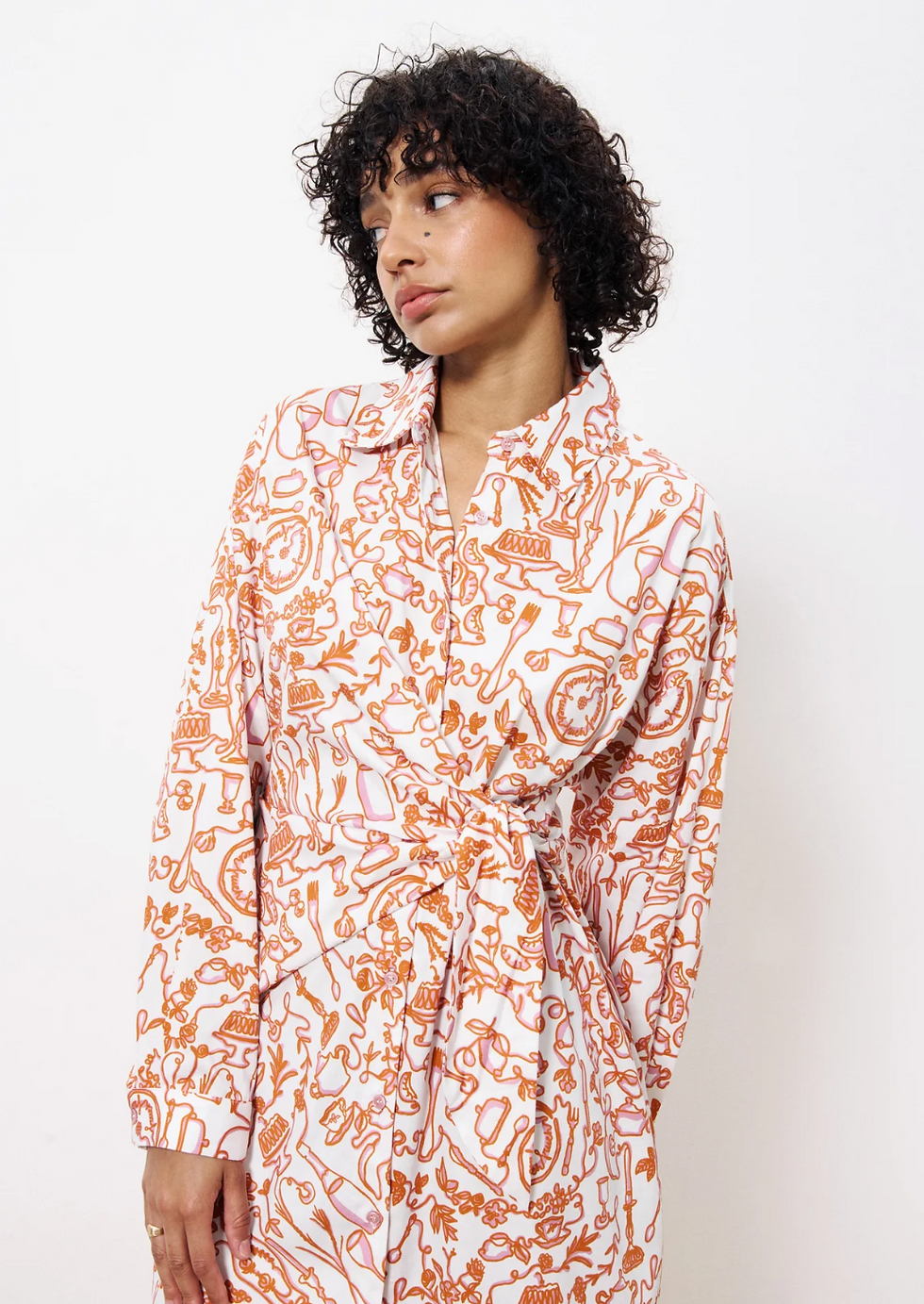 LUNCH IN PARIS DRESS