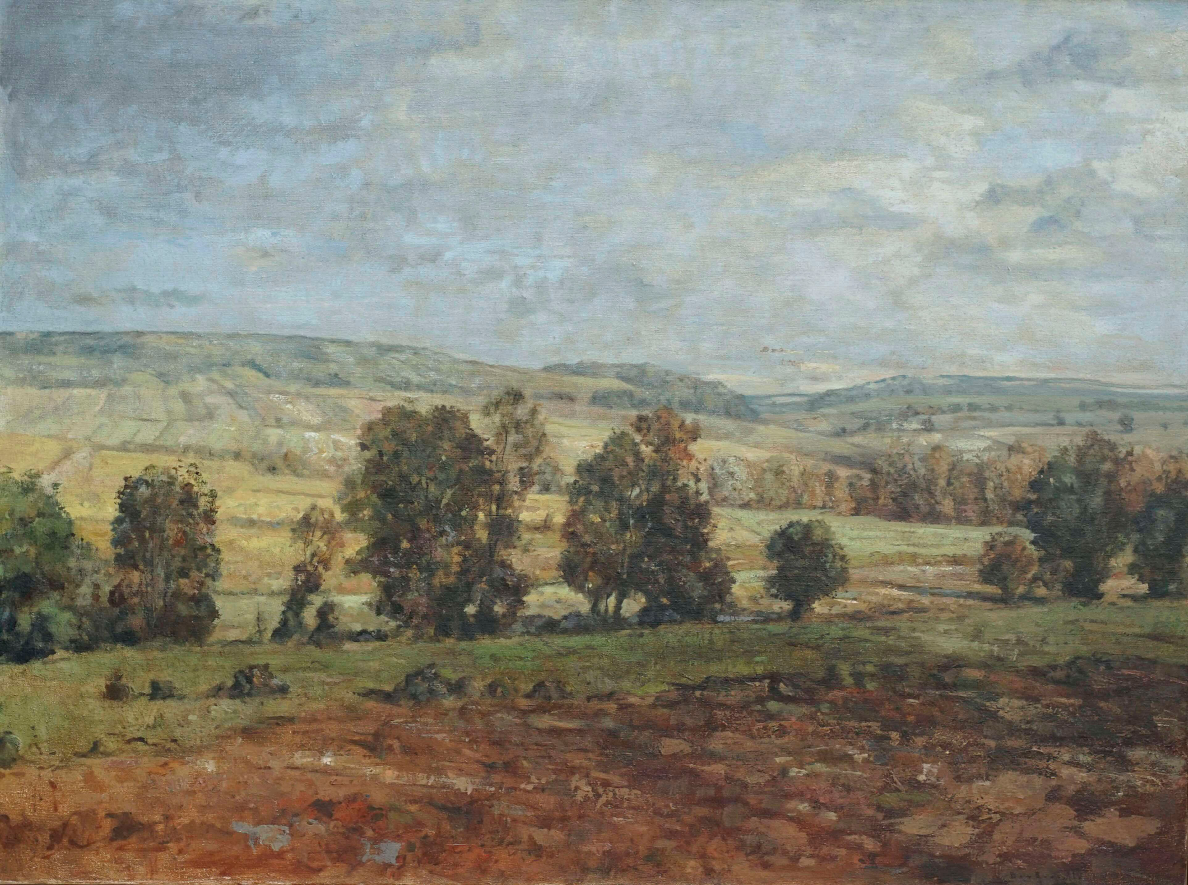 Les vignes de Chablis