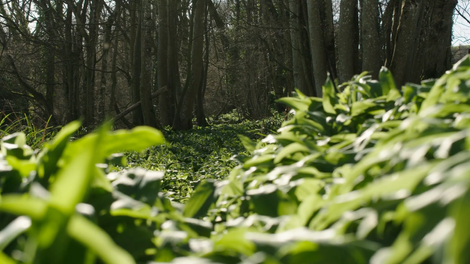 Resonance still 35