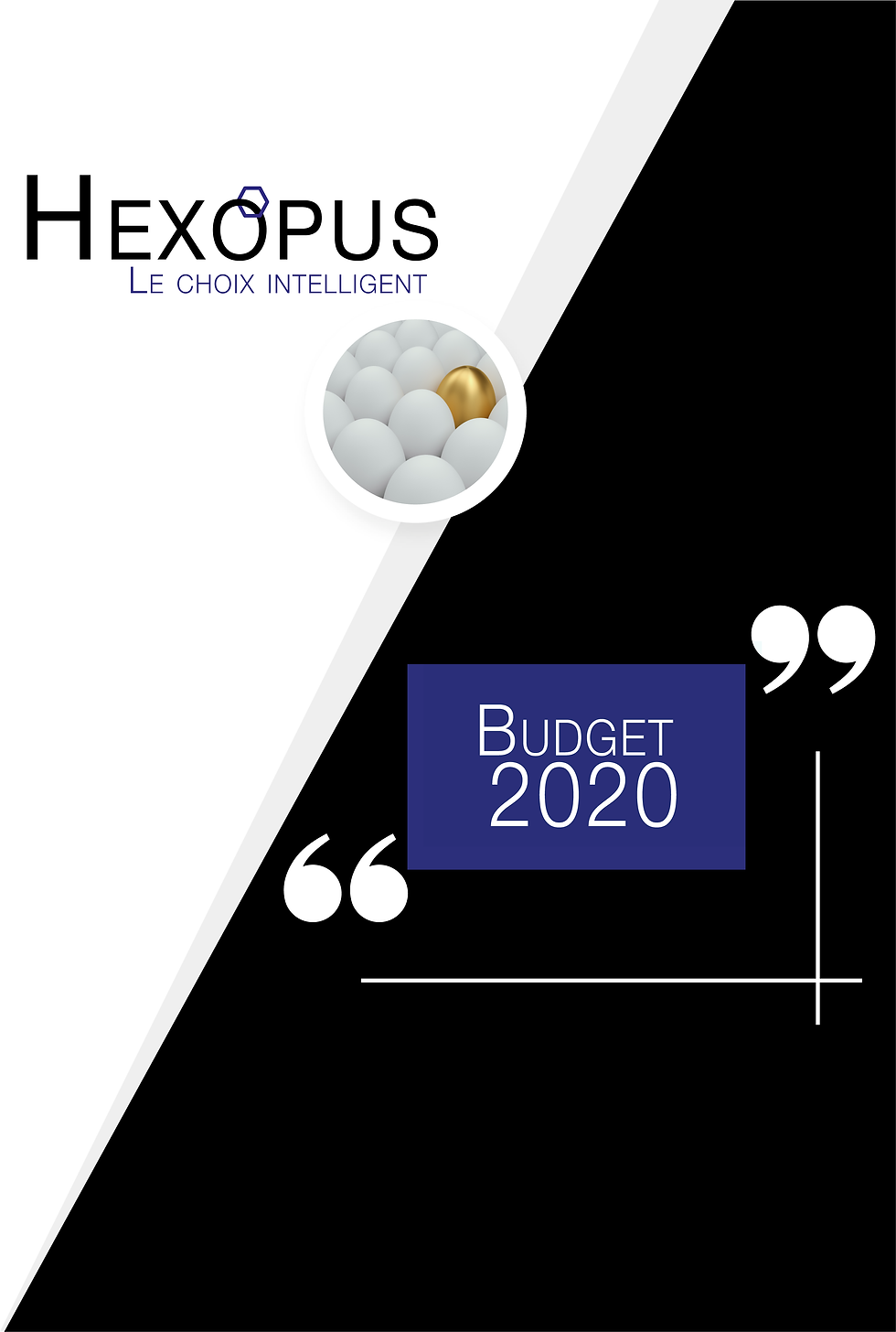Budget 2020