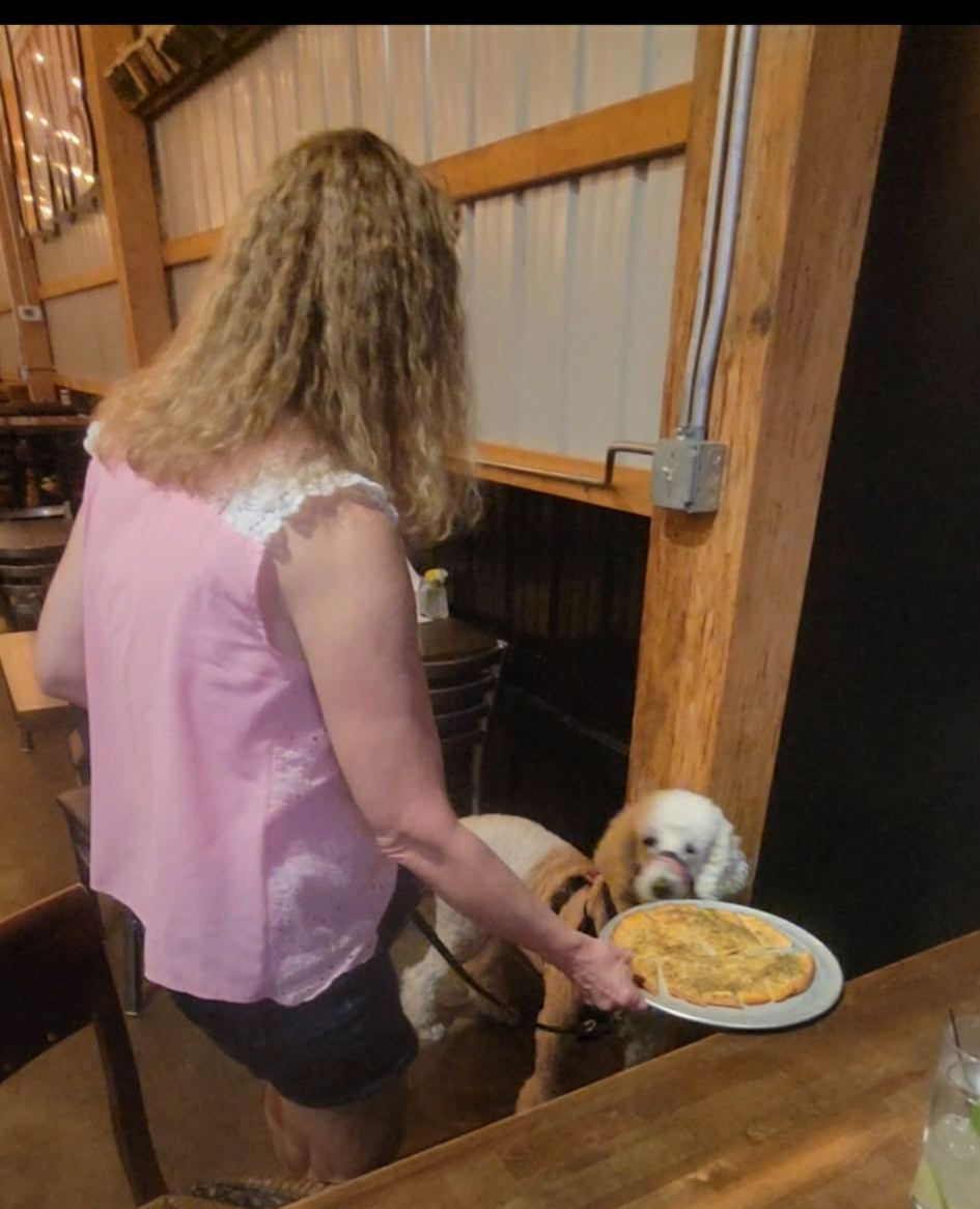 Gluten detection service dog Luna checking food at a restaurant