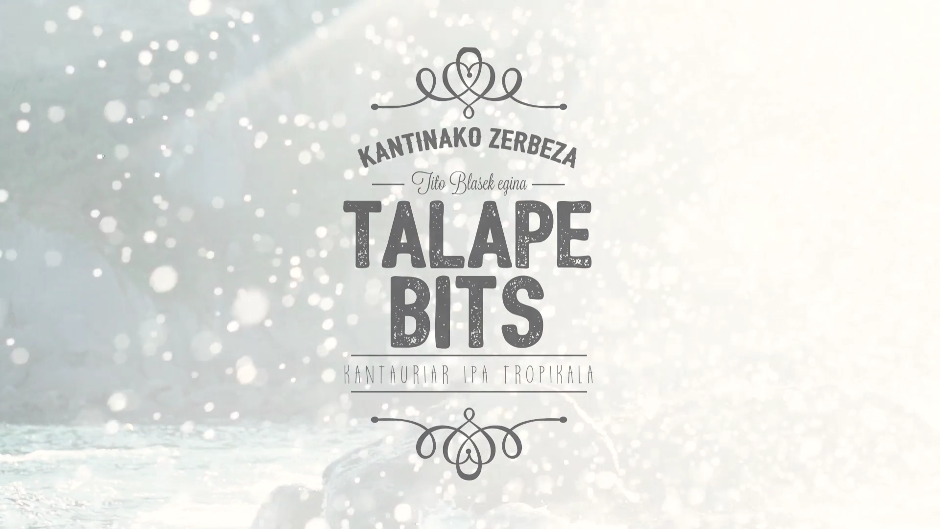 TALAPE BITS