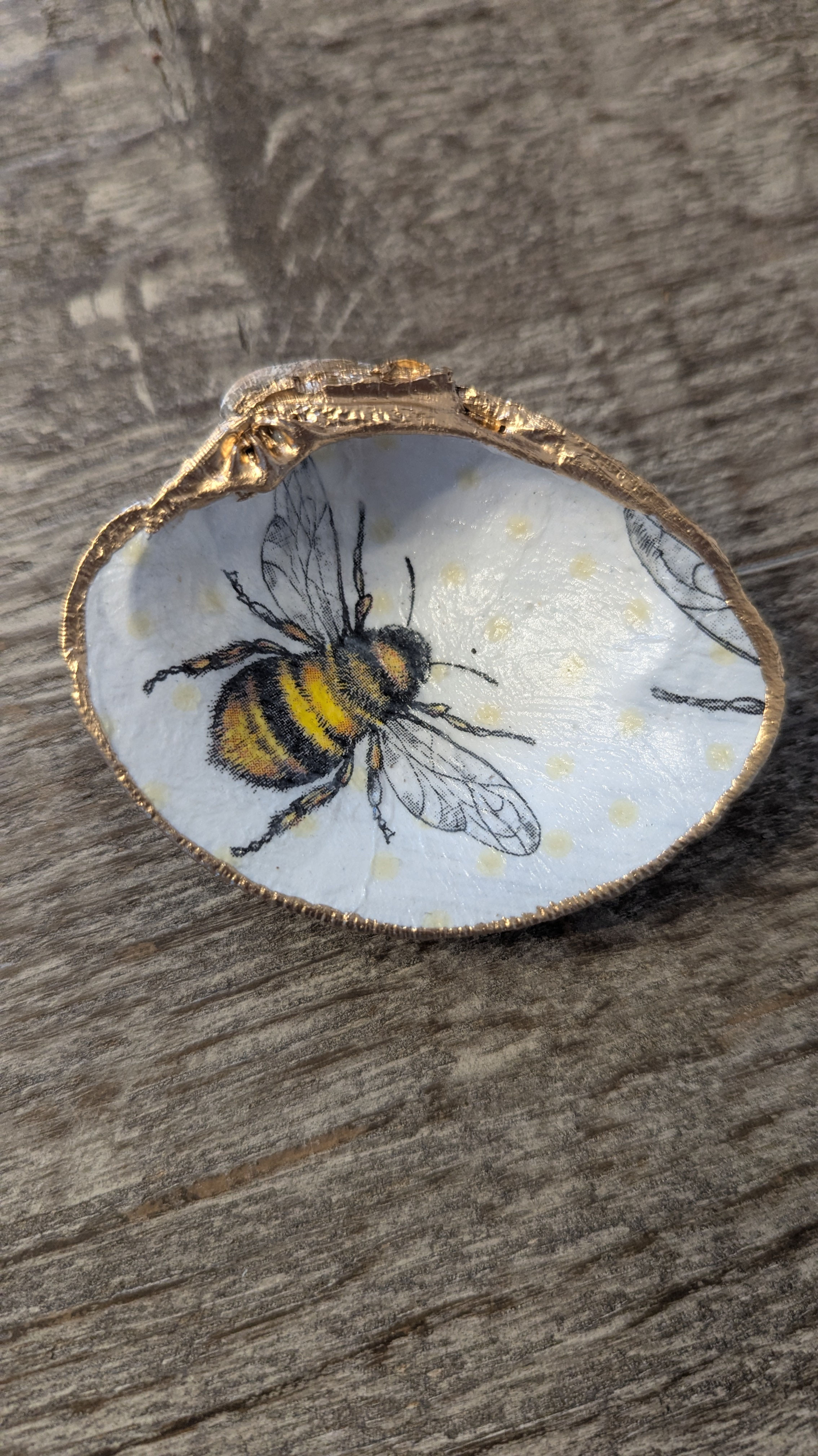 One -Of -A-Kind Sea Shell Trinket Dish Bumblebee (C)