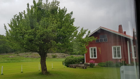 Tillbaka till gamla trakter