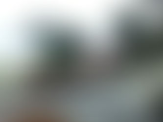 Caribe Royale - Orlando